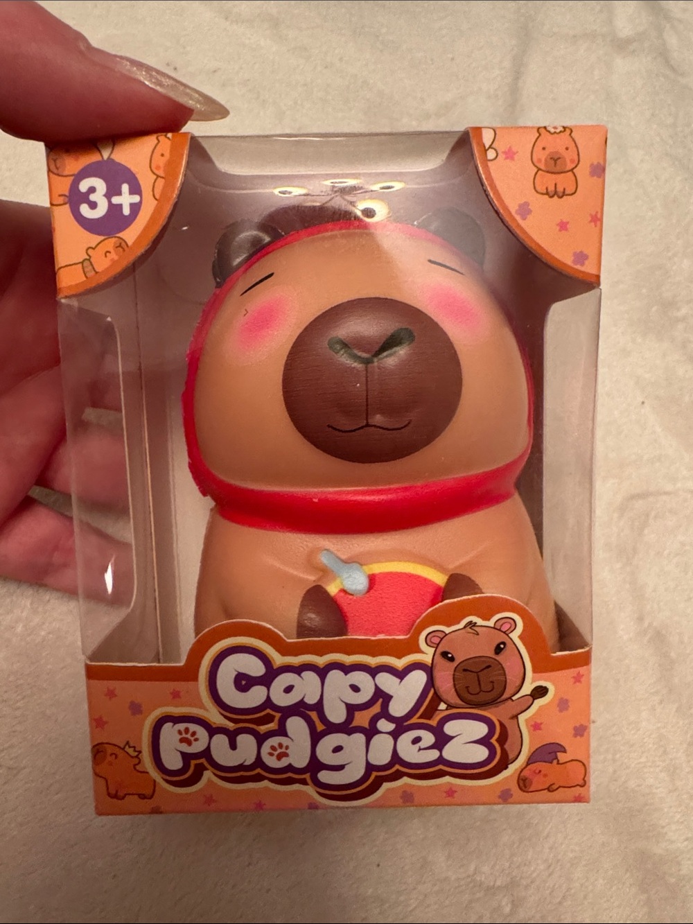 New Capy Pudgiez Squishy toy